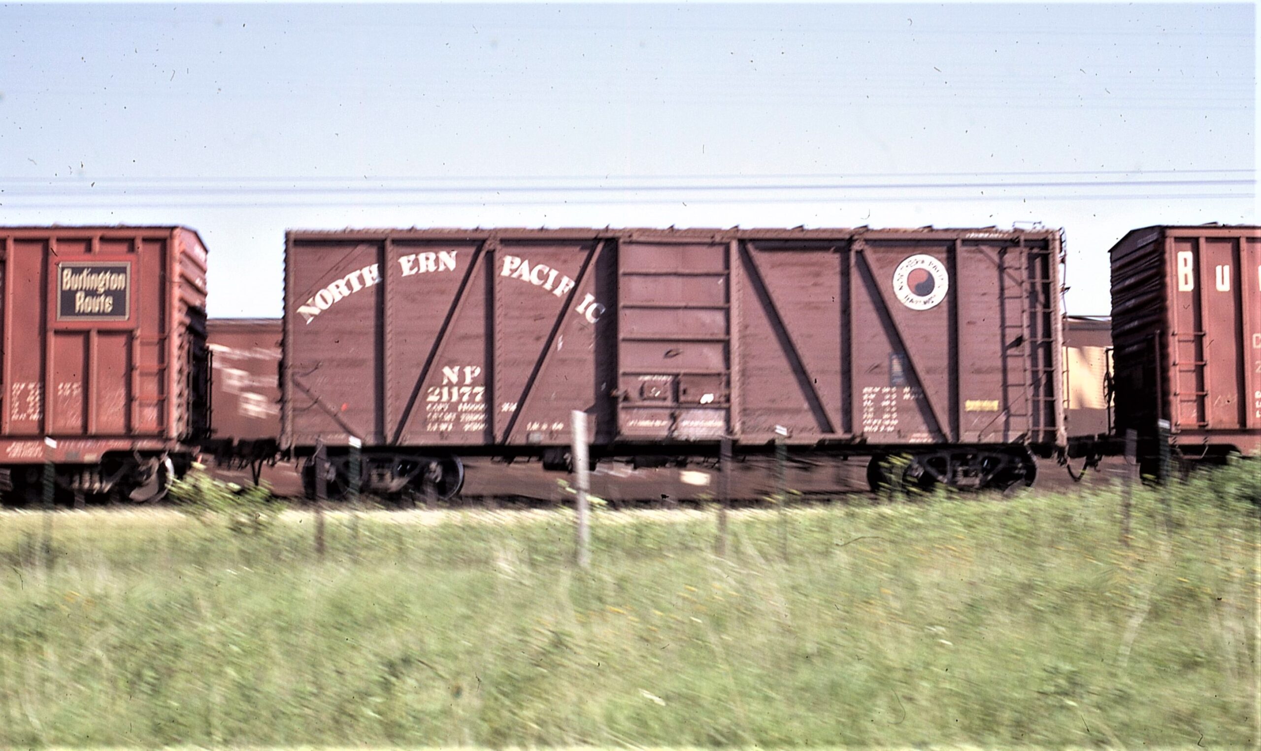 Northern Pacific | Galion, Ohio | 40 foot wooden box car 21177 | June 4, 1972