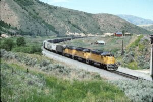 Union Pacific | McCammon, Idaho | EMD SD40-2 3351, 3317 and 3690 diesel-electric locomotives | Freight train | June 6, 1994 | Dick Flock photograph