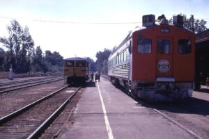 California Western Railroad | Southern Pacific Lines | Willits, California | Skunk Motorcar and Southern Pacific RDC | September 23, 1968 | Al Holtz photograph / collection